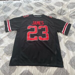 Nike Team Ohio State Buckeyes #23 Lebron James Football Jersey Men's Large Black